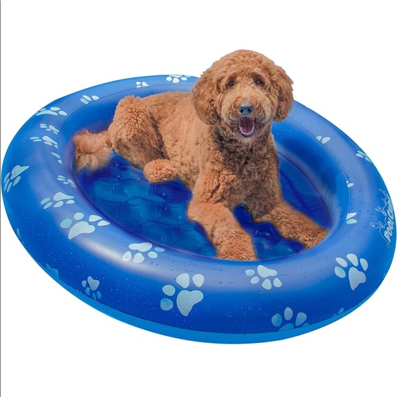 Inflatable Pet Float Pool - Picture 2 of 4